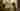 Loading
