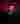 Loading