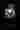 Loading